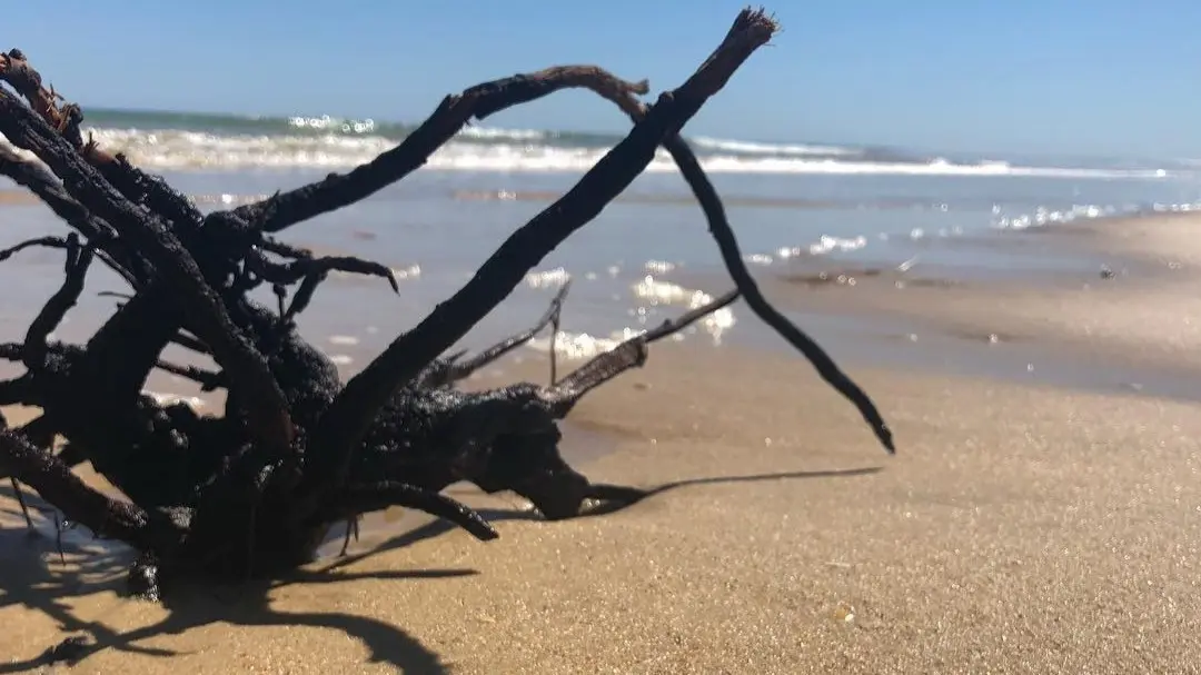 Areia Branca