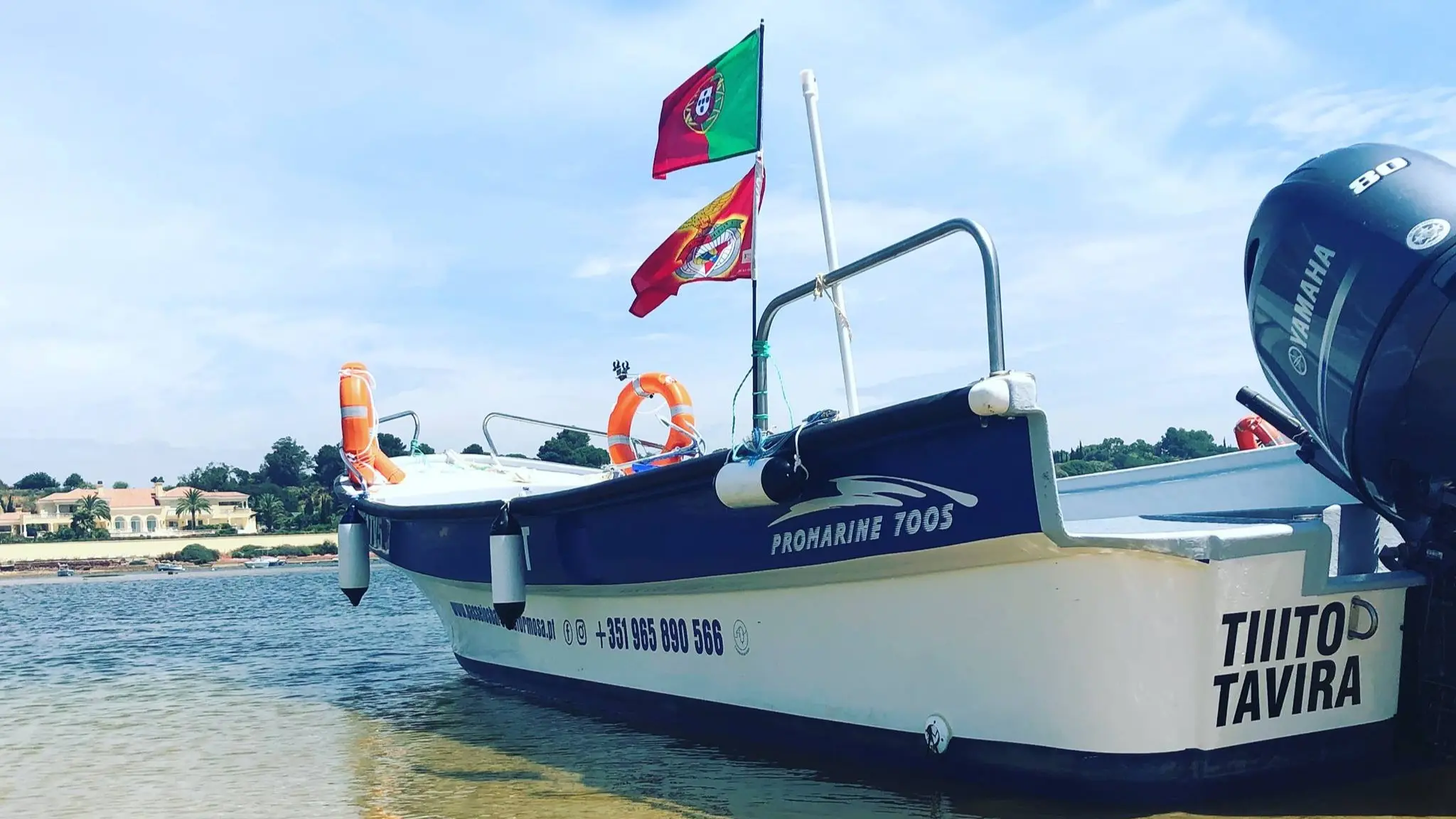 Barcos