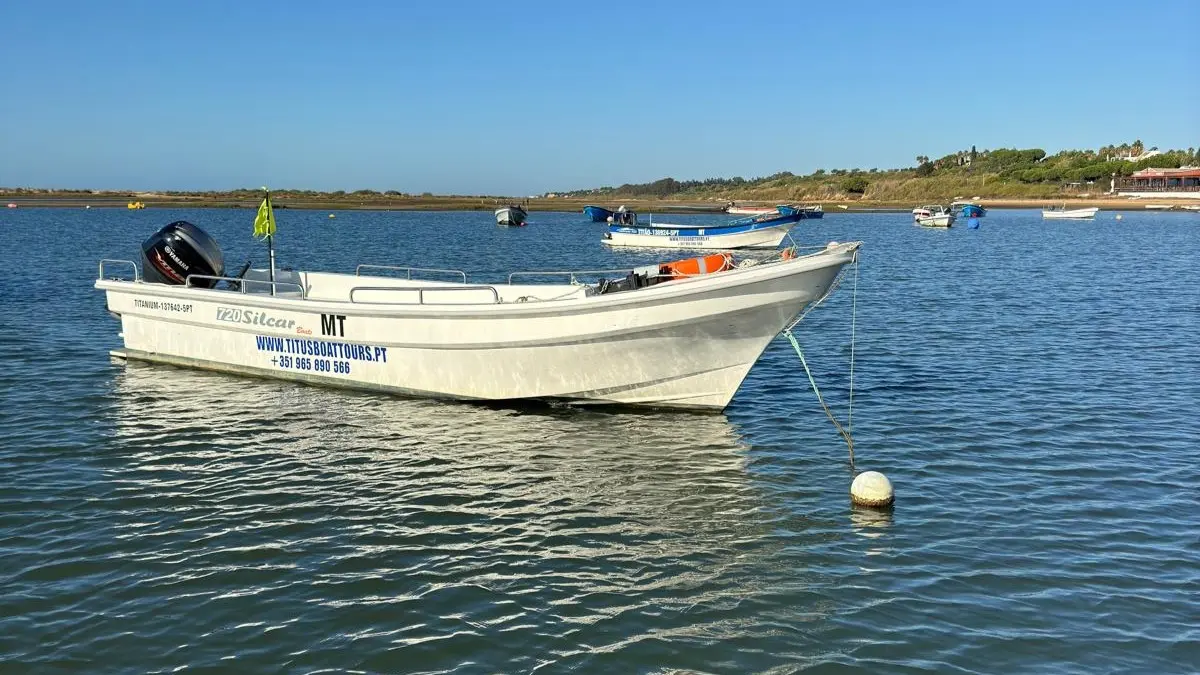 Barcos Modernos