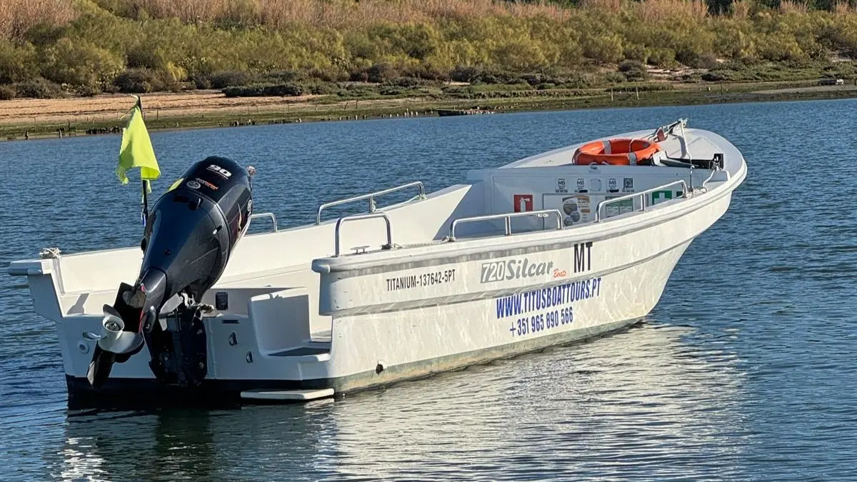 Barcos Modernos