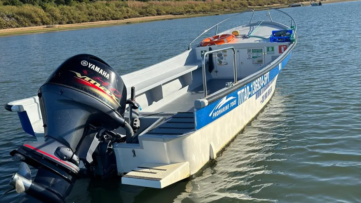 Barcos Modernos