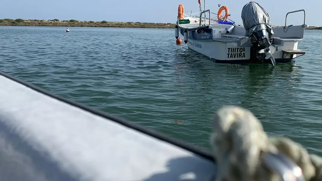 Barcos Prontos